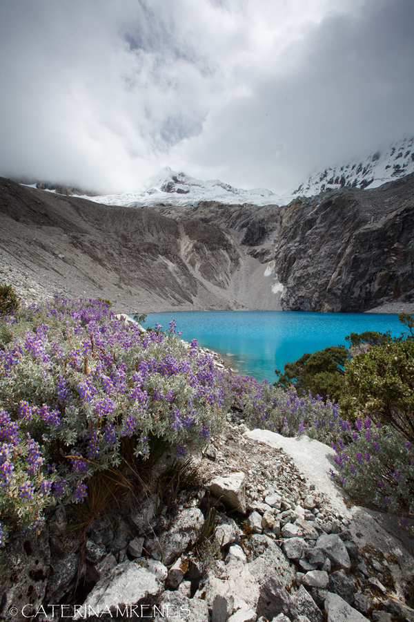 IMG_1469-Laguna-69-1