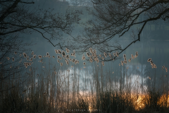 B6A9954_Schleinsee-copy