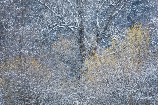 Canon-EOS-5D-Mark-IV-6880x4544_000066-copy