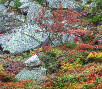 B6A7015-Panorama-ohne-rahmen