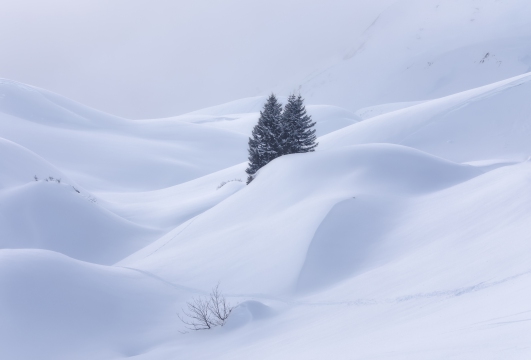 B6A9369-Kopie_Januar