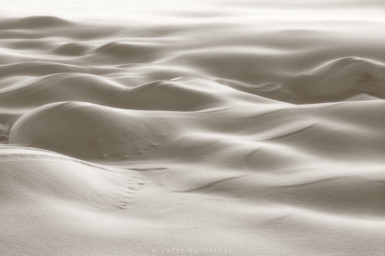 B6A9917b_Winnebachseehutte-neu