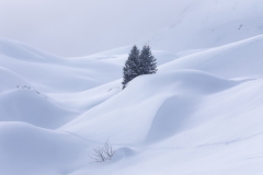 B6A9369-Kopie_Januar