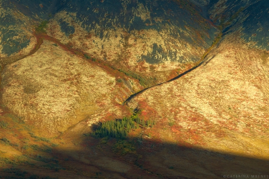 DJI_0486-Kopie