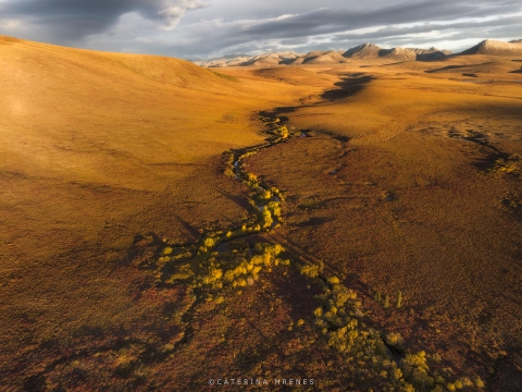 DJI_0533-Kopie