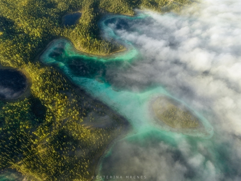 DJI_0649-Kopie