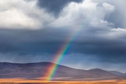 MG_5803-1-Kopie-Website