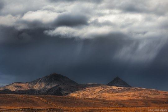 MG_5810-Kopie