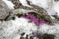 Hochkalter_10_25.06.11