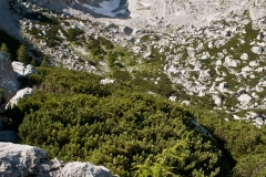 Hochkalter_15_27.06.11