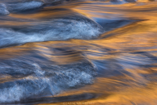 MG_3502-Kopie-2-full