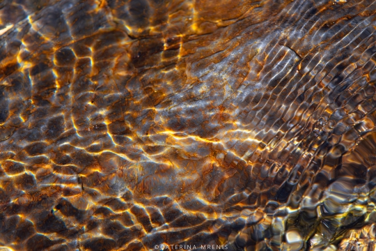 jeuxd_eau-_B6A6969-1400