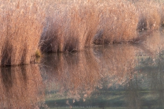 B6A9859_Wielandsee-neu
