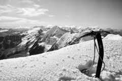 IMG_1761web