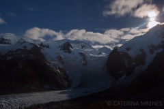 IMG_8717web