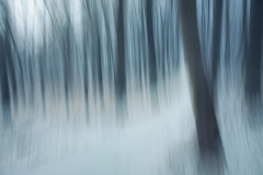 Nr. 8 Nr. 8