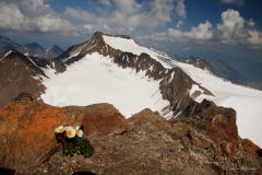 Abstieg vom Wilden Pfaff mit Blick zum Wilden Freiger