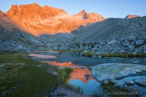 Cima Presanella mit Monte Nero im Morgenrot